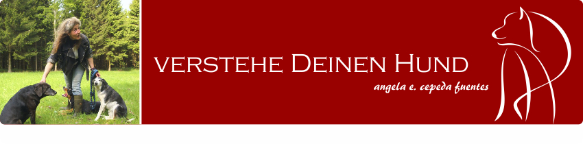 Banner: Verstehe Deinen Hund: Kommunikatonstraing